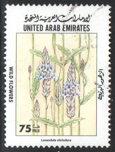 United Arab Emirates Scott 625 Used - Click Image to Close